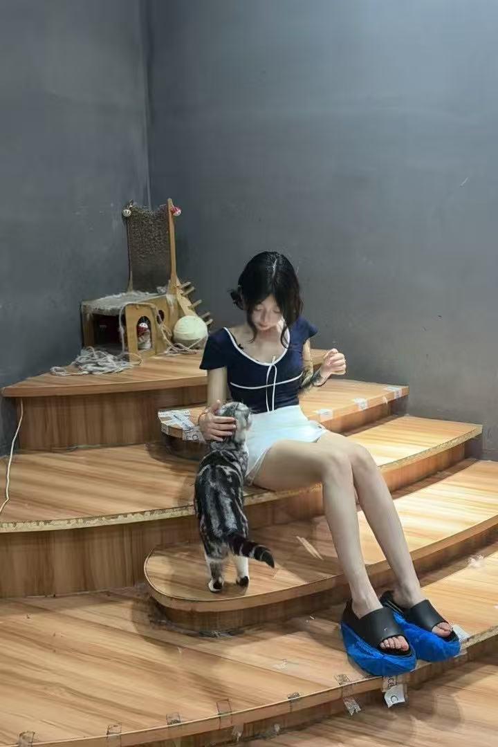 浙江 杭州 编号：557007 (点击复制)
➡️ 