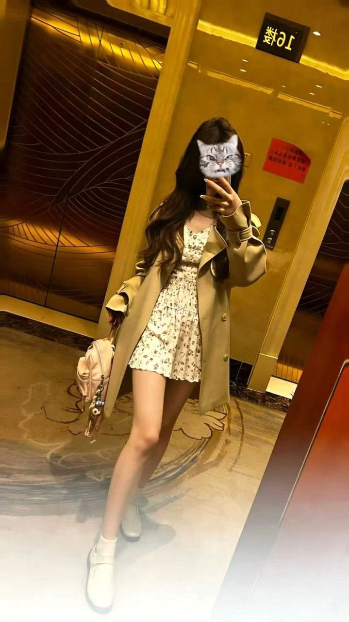 浙江 衢州 编号：203619 (点击复制)
➡️ 