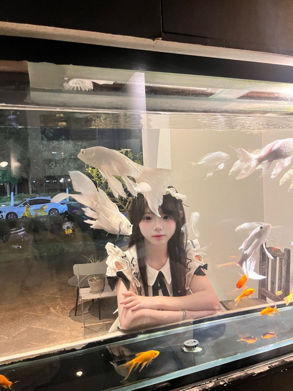 浙江 杭州 编号：940842 (点击复制)
➡️ 