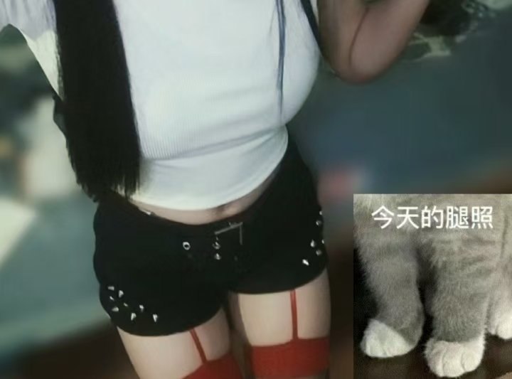 浙江 杭州 编号：397723 (点击复制)
➡️ 