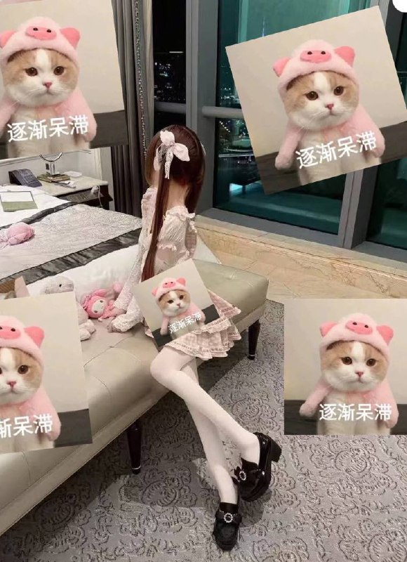 浙江 杭州 编号：895762 (点击复制)
➡️ 