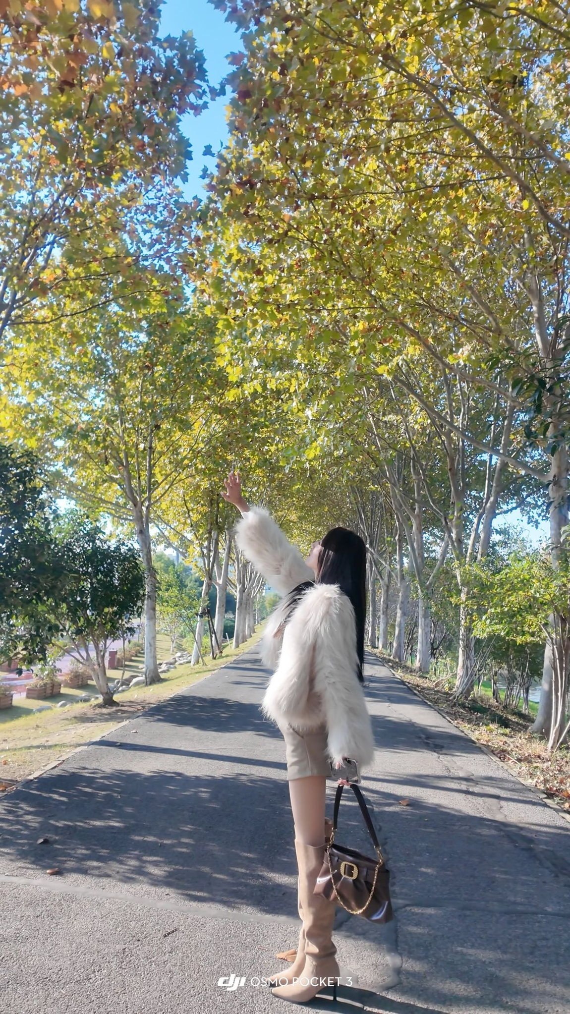 浙江 杭州 编号：419216 (点击复制)
➡️ 