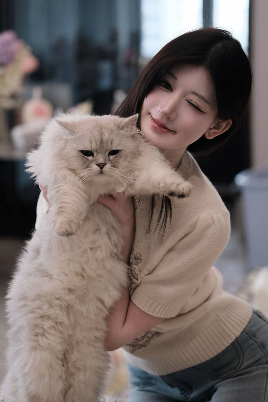 浙江 杭州 编号：749230 (点击复制)
➡️ 