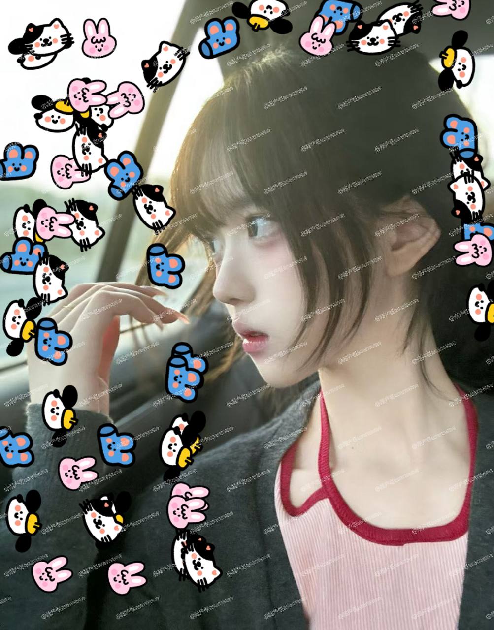 浙江 杭州 编号：061211 (点击复制)
➡️ 
