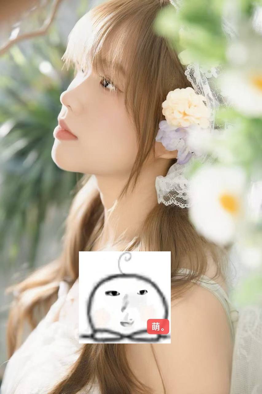 浙江 杭州 编号：624536 (点击复制)
➡️ 